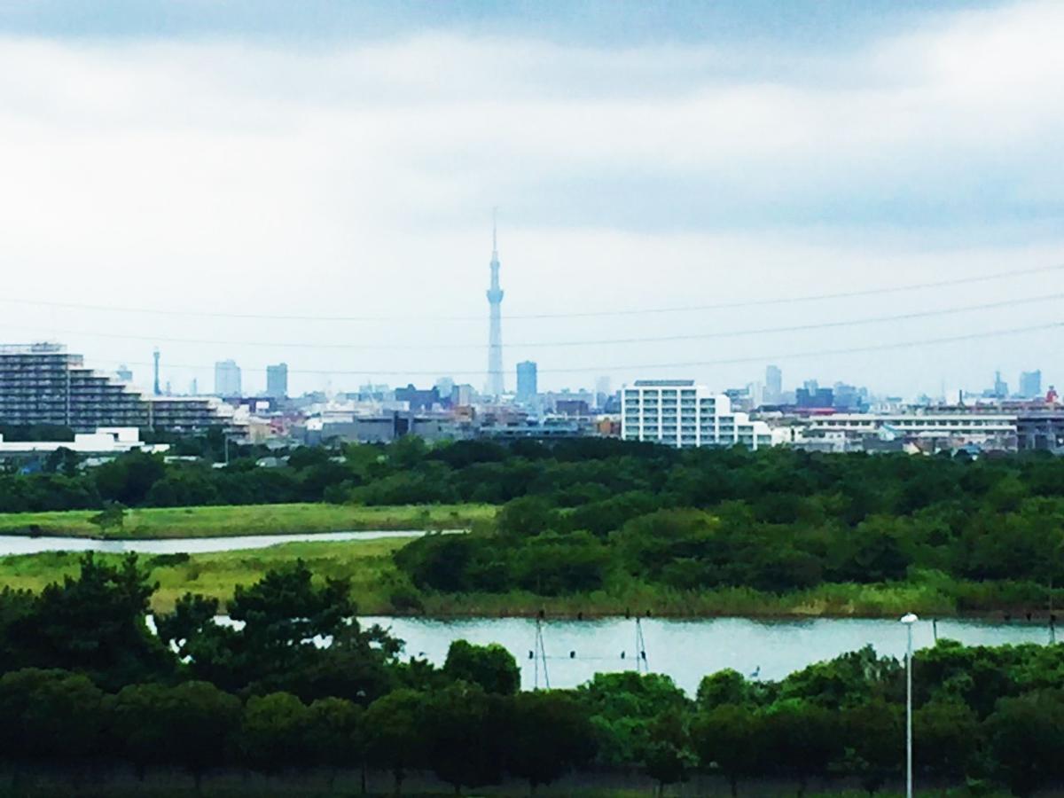 Nice Inn Hotel Ichikawa Tokyo Bay Ураясу Экстерьер фото